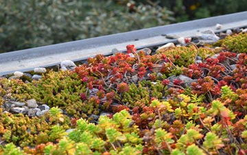 the cost of Palmarsh green roof installation