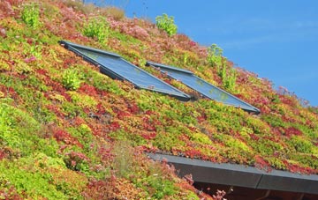 Palmarsh living roof systems