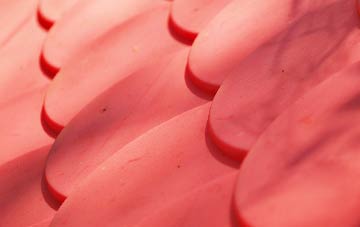 Palmarsh plastic roof costs