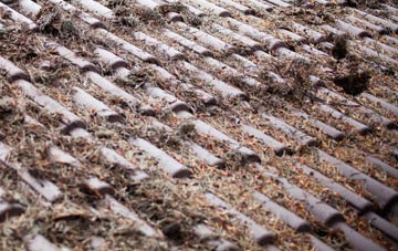 Palmarsh roof cleaning companies