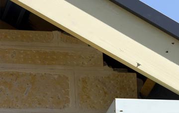 soffit repair Palmarsh