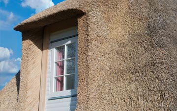 Palmarsh thatch roof disadvantages