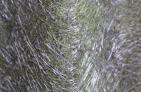 Palmarsh fibreglass roof work