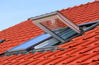 Palmarsh roof window